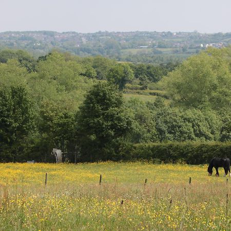 Just A Cottage, Newlands Farm Swanwick エクステリア 写真